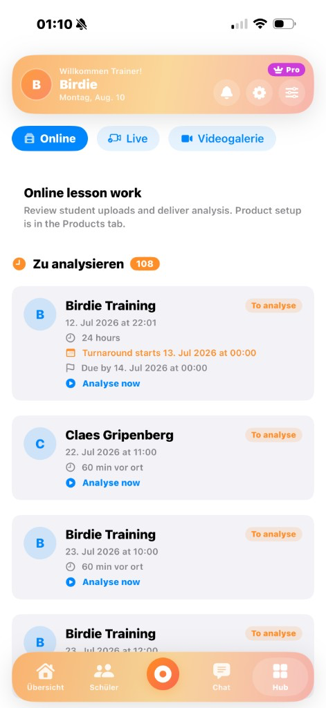 Online lesson work